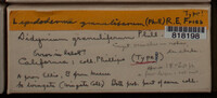 Image Associated With the Occurence